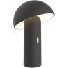 Lampe de table sans fil - LUMISKY - TOD BLACK - H28 cm - Tete orientable - LE...