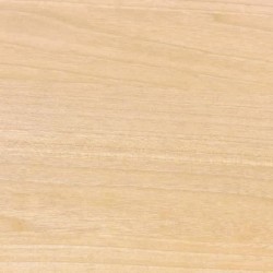 BONDEX Vernis 2 en 1 Brillant Résistance Extreme - Incolore