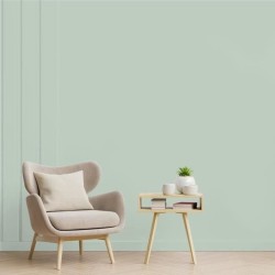 RIPOLIN Peinture Couleur Satin Ultra Couvrante pour Cuisine, Chambre, Salon, ...