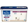 Peinture deco murs, boiseries & radiateurs - RIPOLIN - 447161 - Blanc aspen -...