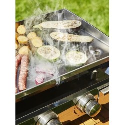 COOKING BOX Plancha a gaz BRASILIA - 4 feux - 10kW - 84x41x24,5 cm - Tout ino...