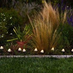 10 mini-champignons lumineux solaires a piquer - LUMISKY - CHAMPY - 3.8 m - B...