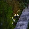 10 mini-champignons lumineux solaires a piquer - LUMISKY - CHAMPY - 3.8 m - B...