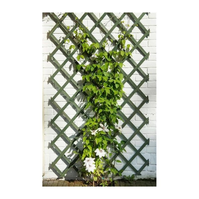 Treillis extensible en bois NATURE - 50 x 150 cm - FSC label - lattes 18 x 6 ...