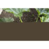 Manche télescopique GARDENA Combisystem 90-145cm | Support outils | Aluminium...