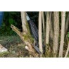 GARDENA Coupe-branches SlimCut – Lame franche affûtée – Coupe Ø28mm max – Dou...