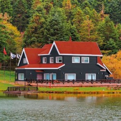 Lasure opaque Tres haute protection - Gris anthracite RAL 7016 satin - BONDEX...