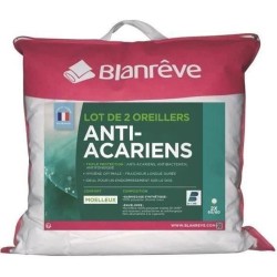BLANREVE Lot de 2 Oreillers...
