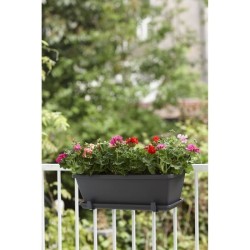ELHO Soucoupe Barcelona Balconniere 50 - L16,7 x l45,5 x H3 cm - Anthracite -...