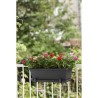 ELHO Soucoupe Barcelona Balconniere 50 - L16,7 x l45,5 x H3 cm - Anthracite -...