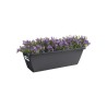 ELHO Balconniere BARCELONA - 39,5 x 19,5 x 15,6 cm - Anthracite
