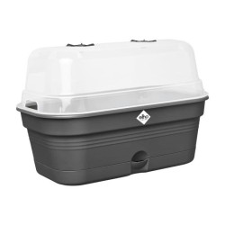 ELHO Bac a culture Green Basics Allin1 Large - L 39 x B 23 x H 15 cm - cultur...