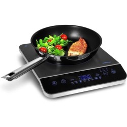 Plaque induction posable -...