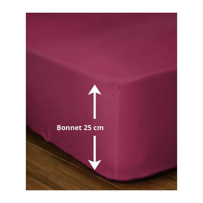 Drap-housse - LOVELY HOME - LH71615 - 160x200+25 cm - Fuchsia