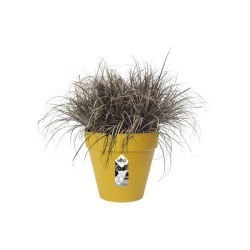 ELHO Pot de fleurs rond Loft Urban 25 - Extérieur - Ø 24,5 x H 22,2 cm - Jaun...