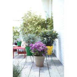 ELHO Pot de fleurs rond Loft Urban 25 - Extérieur - Ø 24,5 x H 22,2 cm - Jaun...