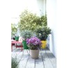 ELHO Pot de fleurs rond Loft Urban 25 - Extérieur - Ø 24,5 x H 22,2 cm - Jaun...