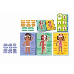 Montessori - Clementoni - Le Corps Humain - Jeu éducatif pour