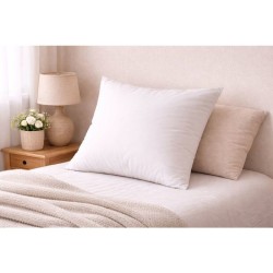 BLANREVE Oreiller en coton - 60 x 60 cm - Blanc