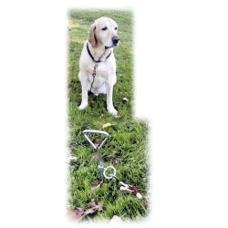 KERBL - Laisse d'attache avec ancrage spirale pour chien