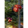 Coccinelle solaire clipsable - GALIX - Luminaires solaires - Métal/verre - 2 ...