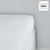 Drap housse TODAY Essential - 160 x 200+25 cm - 1 personne - 100% Coton jerse...