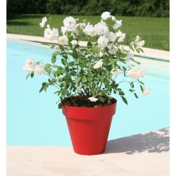 Pot de fleurs - RIVIERA - Soleilla Rond - Ø 39,2 x 35,8 cm - 25L - Rouge