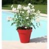 Pot de fleurs - RIVIERA - Soleilla Rond - Ø 39,2 x 35,8 cm - 25L - Rouge