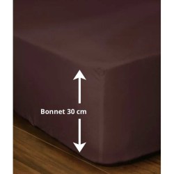Drap-housse - LOVELY HOME - LH71594 - 180x200+30 cm - Marron