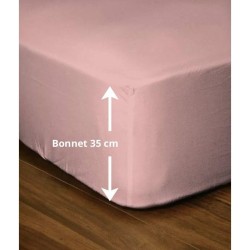 Drap-housse - LOVELY HOME - LH71624 - 160x200+35 cm - Rose