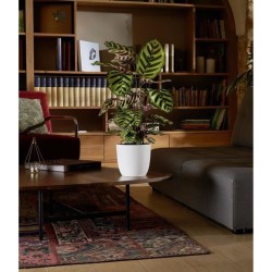 Cache-pot - EDA - OPALE - 14,8 L - Ø 29,5 x H.27,1 cm - Blanc ivoire