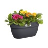 ELHO Balconniere Vibia Campana Easy Hanger Medium - L 24.1 x W 36 x H 26.5 cm...