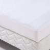 Toison D'Or - Alese housse imperméable - Transalese éponge 100 % Coton - 80 x...