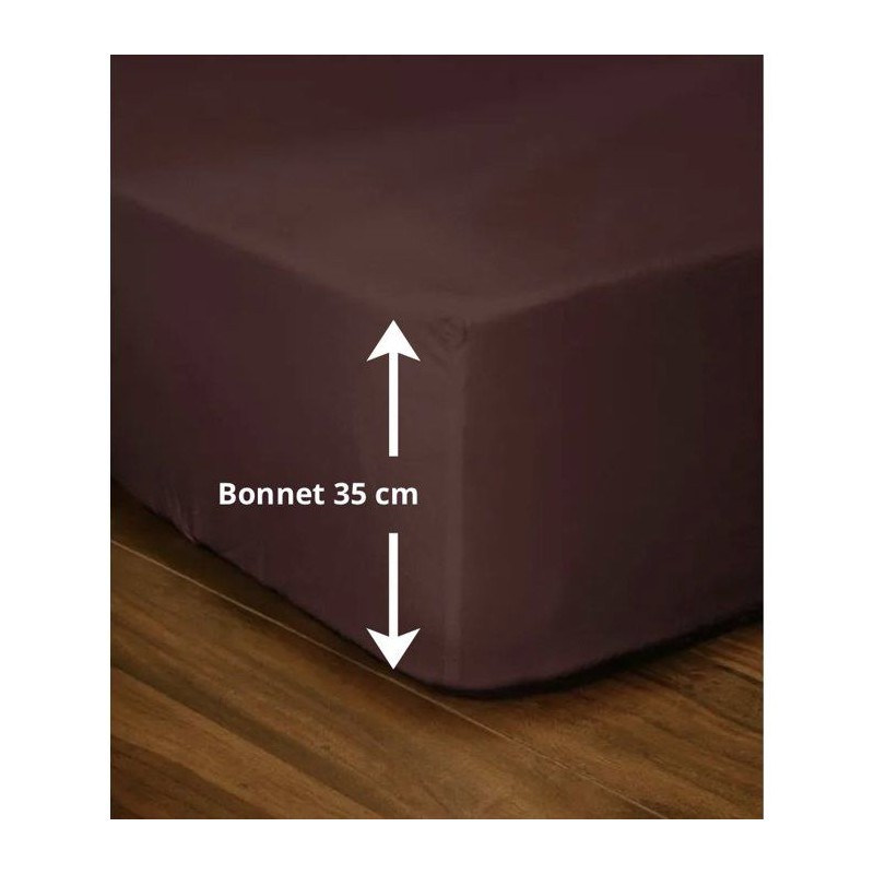 Drap-housse - LOVELY HOME - LH71591 - 180x200+35 cm - Marron