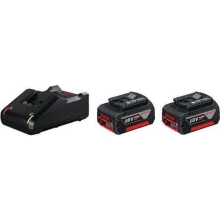 Set 2 batteries Bosch Professional GBA 18V 4,0Ah + Chargeur GAL 18V-40 C - 16...