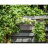 Jardiniere+crochet - GARDEN ID Star - Taupe 50 x 21 cm - Fixation facile - Ré...