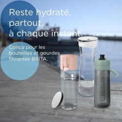 Cartouche BRITA - MiscroDisc - Pack de 3 filtres - 1 filtre = 1 mois de filtr...