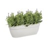 ELHO Balconniere Vibia Campana Easy Hanger Large -  7,5 L - 46 x 24 x 26,5 cm...