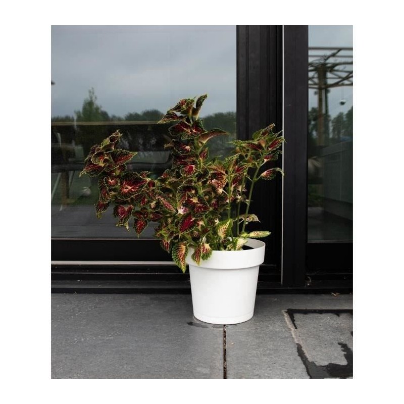 Pot a réserve d'eau - GARDEN ID Glamour - Blanc 40 cm - Surface granuleuse - ...