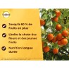 SOLABIOL Engrais agrumes - 1,5kg - Favorise la fructification - Nutrition lon...