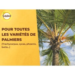 SOLABIOL Engrais palmiers et plantes méditerranéennes - 1,5kg - Jusqu'a 7 pal...