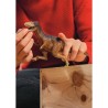 Figurine Moros intrepidus, détails réalistes, Pour enfants des 4 ans,