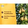 SOLABIOL Engrais fruitiers - 1,5kg - Jusqu'a 180 plants - Stimulateur de croi...