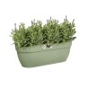 ELHO Balconniere Vibia Campana Easy Hanger L - 24,1 x 46 x H26,5 cm - Vert pi...