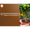 Terreau agrumes et plantes méditéranéeennes - OR BRUN - OBRTAG20N - 20 L