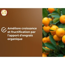 Terreau agrumes et plantes méditéranéeennes - OR BRUN - OBRTAG20N - 20 L