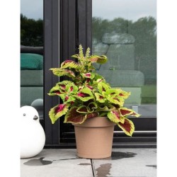 Pot a réserve d'eau - GARDEN ID Glamour - Taupe 40 cm - Surface granuleuse - ...