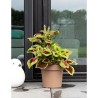 Pot a réserve d'eau - GARDEN ID Glamour - Taupe 40 cm - Surface granuleuse - ...