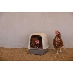 Pondoir pour poules - KERBL...