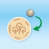 Lance-canette - SES CREATIVE - Outdoor - Coordination - Jeu de